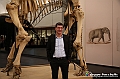 VBS_1000 - Riapre il Museo di Scienze Naturali dopo dieci anni di chiusura
